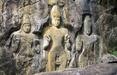 Die Fels Buddha Statuen bei Buduruvagala im sueden der Insel Sri Lanka im Indischen Ozean.