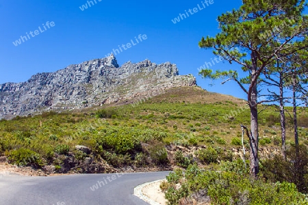 Road at the foot of Table Mountain in Cape Town