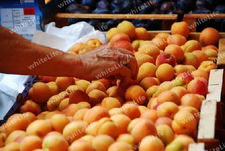Gelbe Pfirsiche am Marktstand