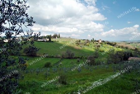 hills in toscana