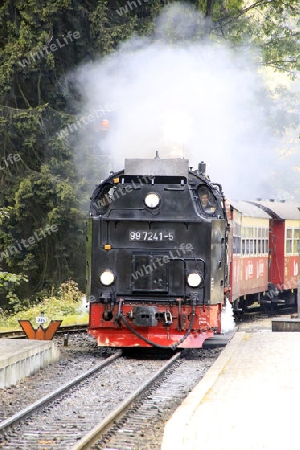 Einfahrt der Brockenbahn vom Bahnhof kommend in den Bahnhof  "Drei Annen Hohne". 25 Dampflokomotiven sind zur Zeit im Harz in Einsatz. Das ist weltweit einmalig. Die Dampflokomotiven sind erlebbare historische Technik unterschiedlicher Art. Sie z?hle