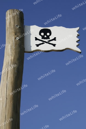 Piratenflagge Piratenfahne Internetpiraterie