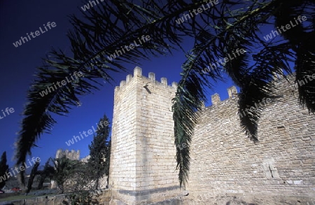 Das Zentrum des alten Dorfteil von Alcudia mit dem Torbogen der alten Stadtmauer im Osten der Insel Mallorca einer der Balearen Inseln im Mittelmeer.  