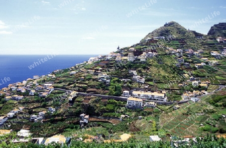 Die Landwirtschaft beo Santo Antonio bei Funchal im sueden der Insel Madeira im Atlantischen Ozean, Portugal.