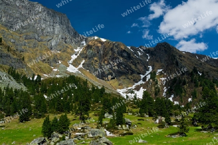 Grawandalm im Zemmgrund, Zillertaler Alpen, ?sterreich