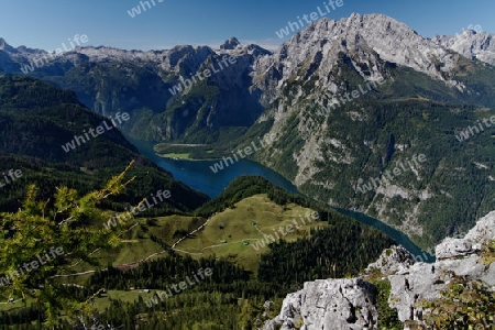 Blick vom Jenner zum Koenigssee, Nationalpark Berchtesgaden, Germany