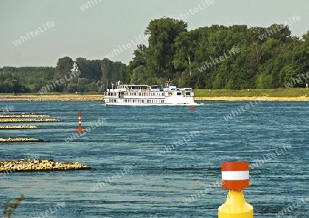 Ausflugsschiff auf dem Rhein bei Niedrigwasser