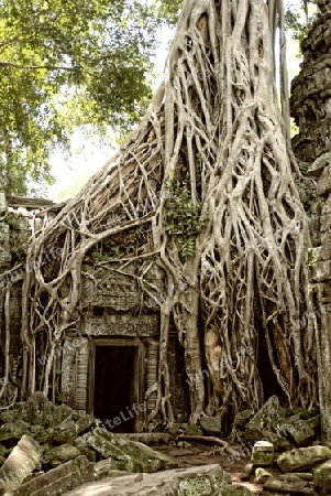 Angkor Tom, Kambodscha