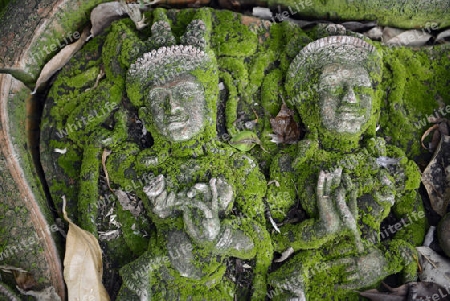 Traditionelle Figuren stehen im Garten von Ban Phor Linag Meuns Terracota Art zum Verkauf bereit dies im Terracota Garden in Chiang Mai im norden von Thailand in Suedostasien.