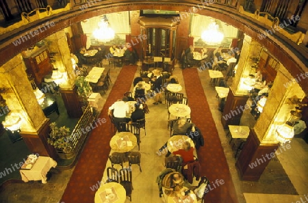 Ein Cafe in der Hauptstadt Prag in der Tschechischen Repubilck in Osteuropa..