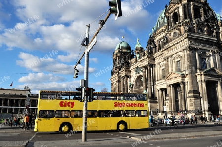 Berlin Bus Sightseeing