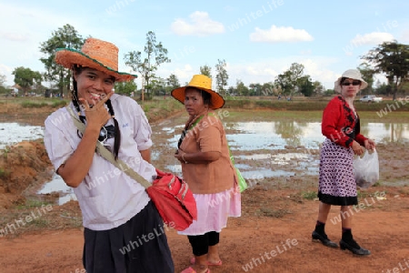 Menschen beim Bun Bang Fai oder Rocket Festival bei Amnat Chroen im Isan im Nordosten von Thailand. 