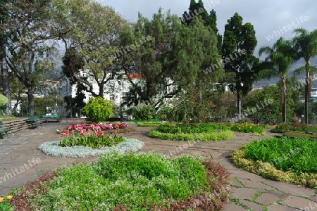 Madeira, Santa Catarina Park in Funchal