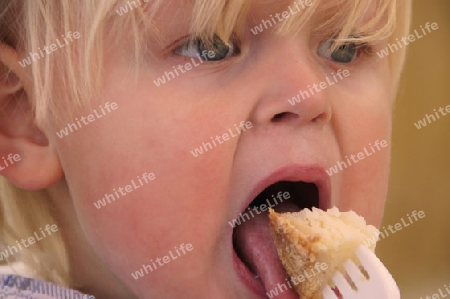 Blond boy eats a piece of apple pie concentrated - Blonder Junge isst konzentriert ein St?ck Apfelkuchen