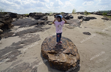 Bruchsteine eines Meteorit in der Steinlandschaft im Mekong River des Naturpark Sam Phan Bok bei Lakhon Pheng am Mekong River in der Provinz Amnat Charoen nordwestlich von Ubon Ratchathani im nordosten von Thailand in Suedostasien.