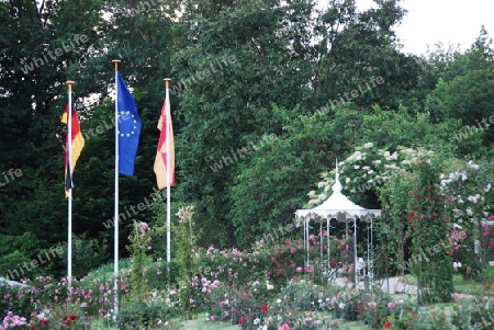 Rosengarten Baden-Baden mit Pavillon