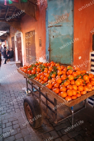 Orangen in Marrakesch