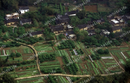 farmland near the town of Yangshou near the city of  Guilin in the Province of Guangxi in china in east asia. 