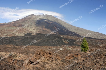 The Volcano Teide on the Island of Tenerife on the Islands of Canary Islands of Spain in the Atlantic.  