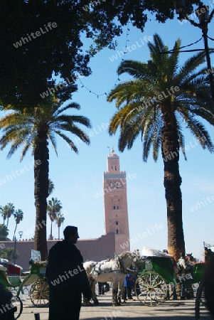 Moschee Marrakesch