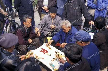 Older people play chinese games in a parc in the city of Chengdu in the provinz Sichuan in centrall China.