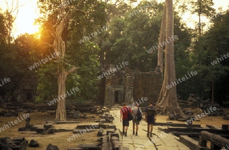 the Prah Khan temple in Angkor at the town of siem riep in cambodia in southeastasia. 