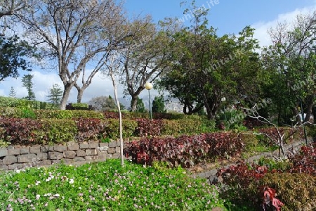 Madeira, Santa Catarina Park in Funchal