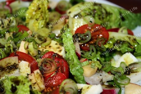 Salat mit Mozarella2