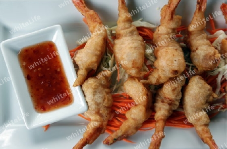 Crevetten in einem Restaurant auf der Insel Ko Tao im Golf von Thailand im Suedwesten von Thailand in Suedostasien.  