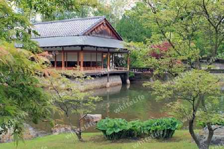 Japanisches Haus im Park von Hasselt, Belgien