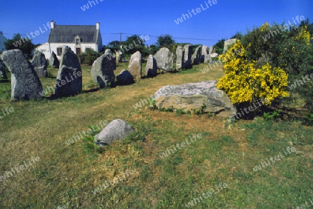Megalithfeld bei Erdeven, Bretagne