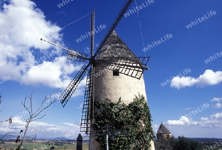 Eine traditionelle Windmuehle in Montuiri welche in der Landwirtschaft verwendert wurde steht im Zentrum der Insel Mallorca einer der Balearen Inseln im Mittelmeer.   