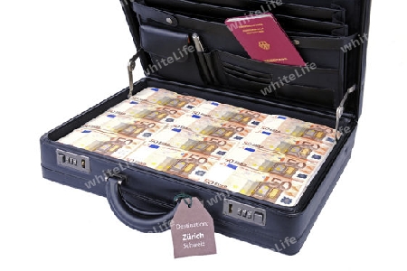 Koffer voller Geld, 50 Euro Noten, Geldscheine