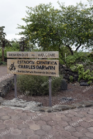 Eingangsbereich der  Darwin Station , Insel Santa Cruz, Galapagos , Unesco Welterbe, Ecuador, Suedamerika
