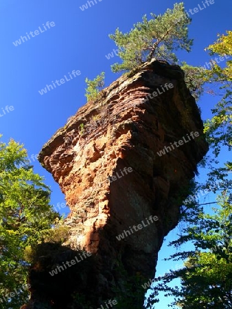 Bizarrer Sandsteinfels mit Baum an der Spitze