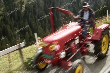 Oldtimer Traktor in Fahrt