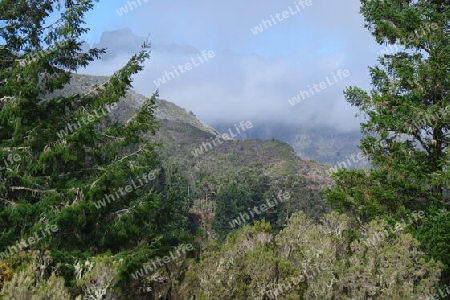 Madeira, Blick von der Feiteiras Hochebene