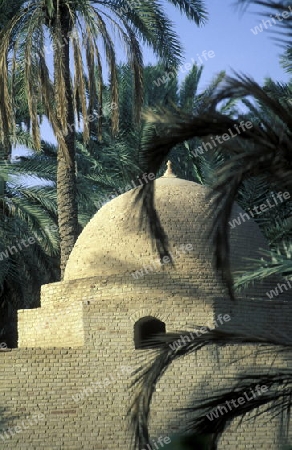 Eine Spycher in einer Dattel Plantage in der Oase von Douz im Sueden von Tunesien in Nordafrika.
