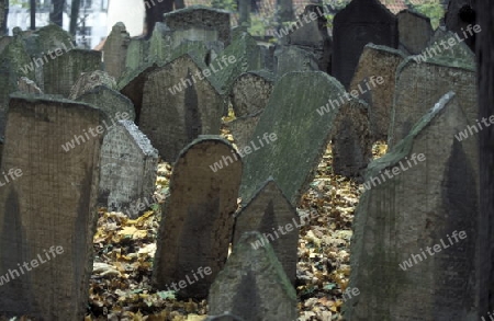 Der Juedische Friedhof von Prag der Hauptstadt der Tschechischen Republik. 