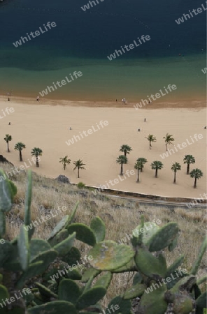 The Playa de las Teresitas at the village of San Andrea on the Island of Tenerife on the Islands of Canary Islands of Spain in the Atlantic.  