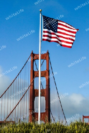 Golden Gate Stars & Stripes