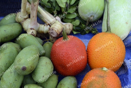 Exotische Fruechte auf einem Regional Markt auf der Insel Phuket im sueden von Thailand in Suedostasien.