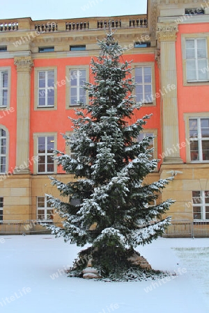 Der Christbaum im Schlosshof