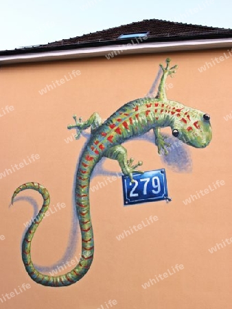 Graffiti Eidechse,  Graffiti Lizard