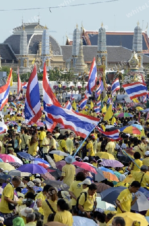Tausende von Thailaender zelebrieren den Kroenungstag des Koenig Bhumibol auf dem Sanam Luang Park vor dem Wat Phra Kaew in der Stadt Bangkok in Thailand in Suedostasien.  