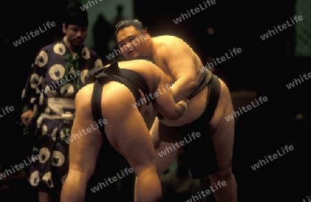 a Sumo fight in the Sumo Arena in the City centre of Tokyo in Japan in Asia,
