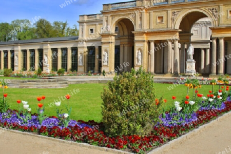 Frühling vor der Orangerie Sanssouci