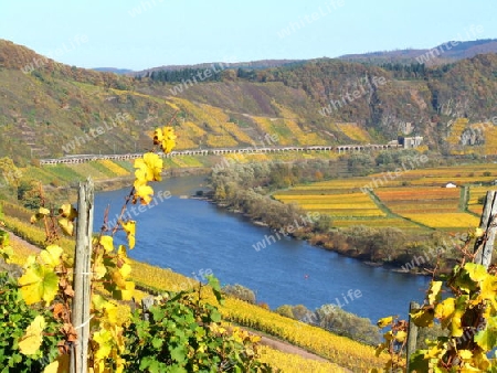 mosel bei p?nderich