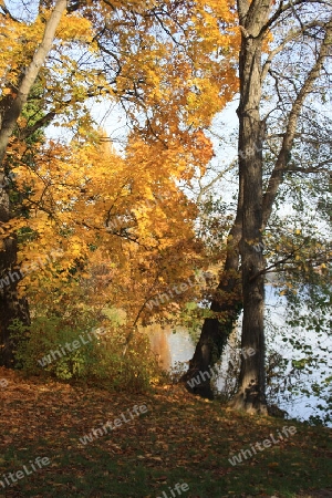 Bunter Herbst am Heiligen See
