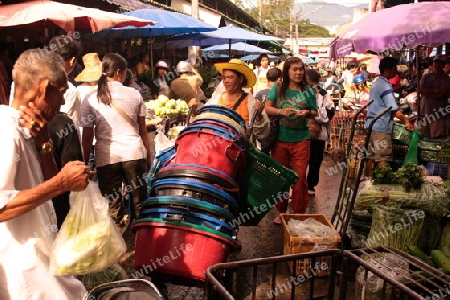 Menschen auf dem Grossen Lebensmittelmarkt von Talat Warorot in Chiang Mai im Norden von Thailand.
